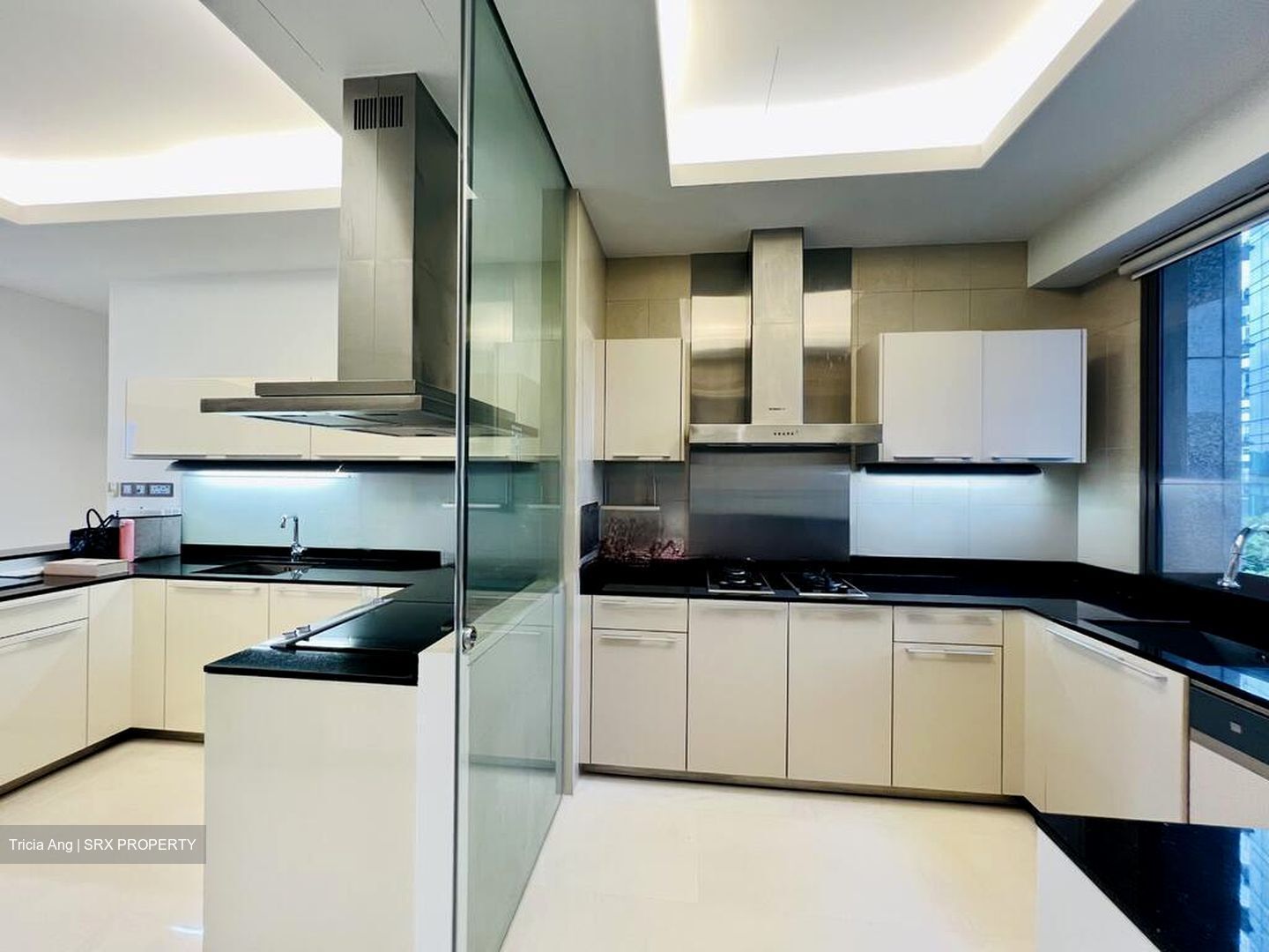 Parkview Eclat (D10), Condominium #468366801